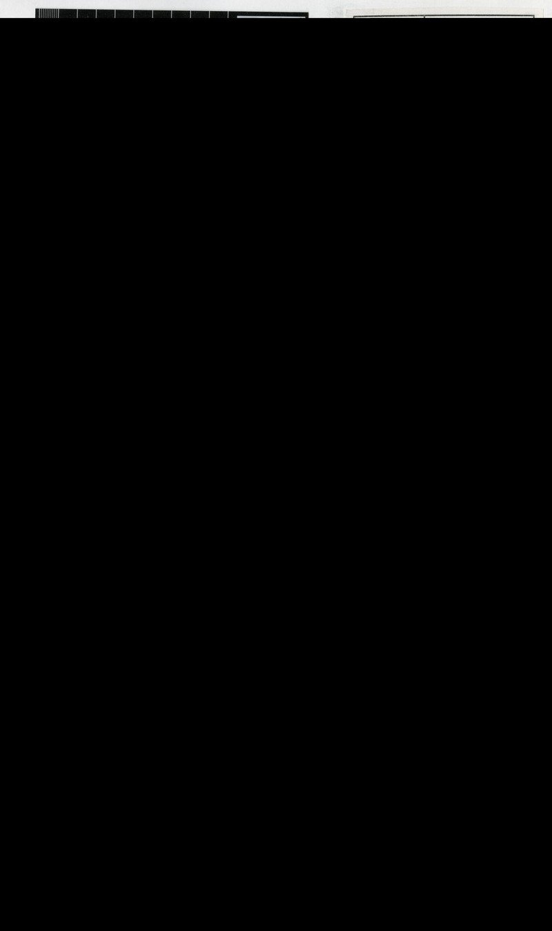 Sericolea ovalifolia var. ovalifolia photo 2