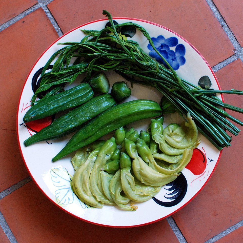 Vegetable Hummingbird photo 7