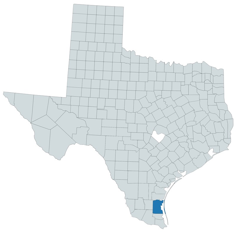 Texas Seapurslane
