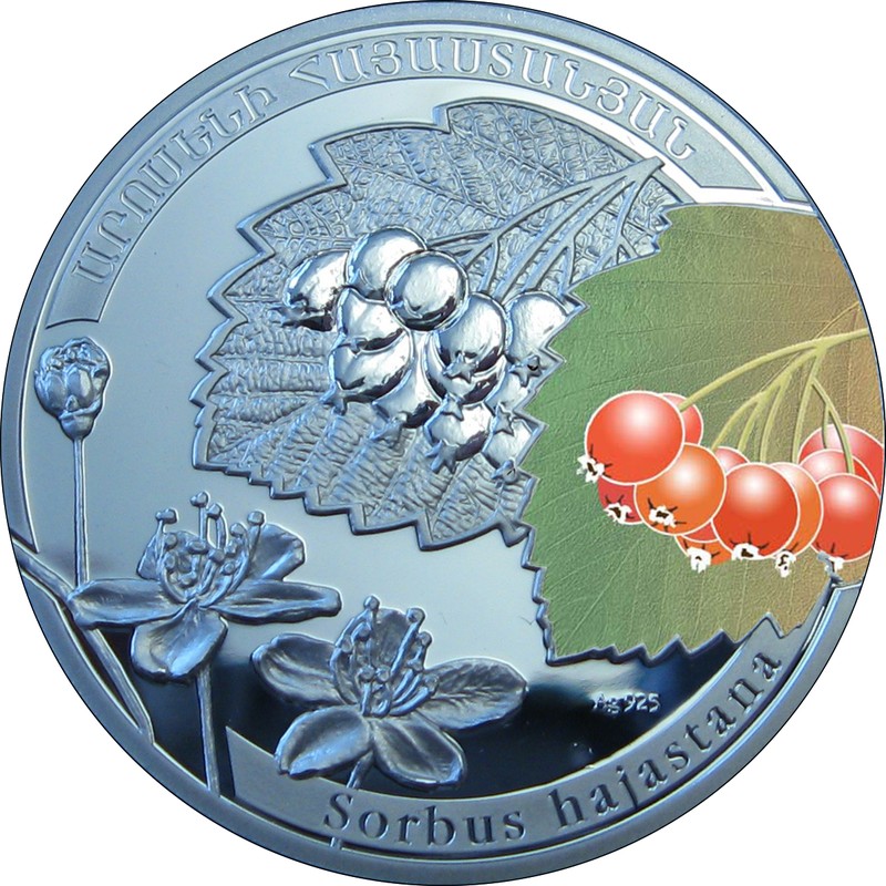 Sorbus hajastana
