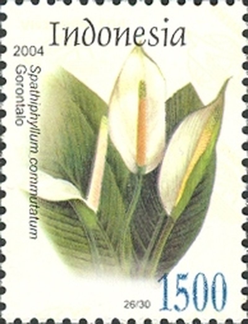 Bischerad photo 7