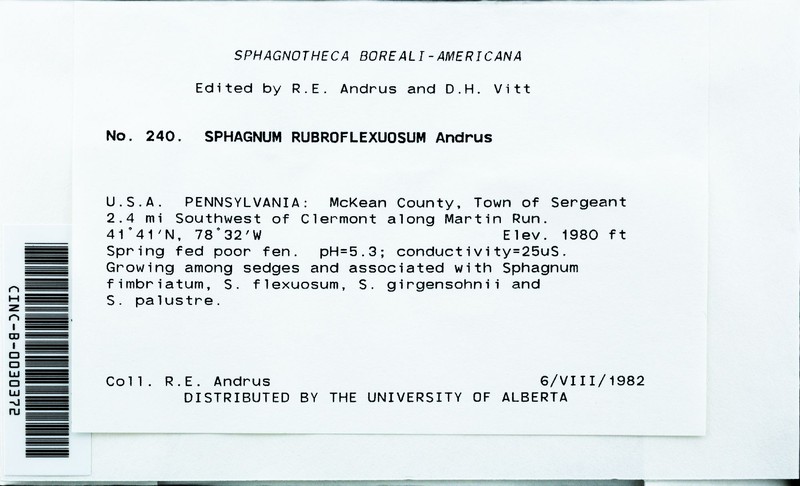 Sphagnum photo 5