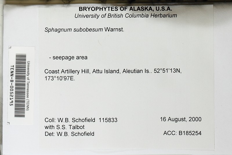 Sphagnum photo 6