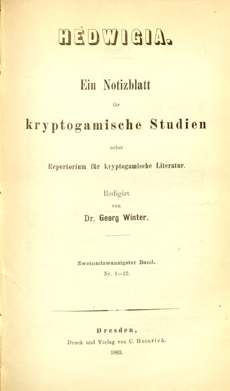 Tree Spilonema Lichen