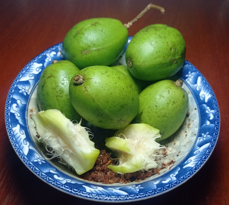 Jewish Plum photo 7