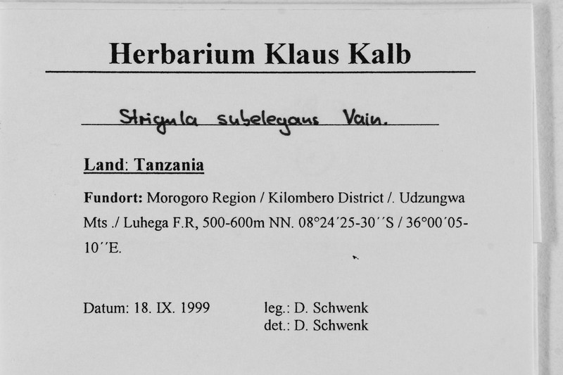 Strigula subelegans