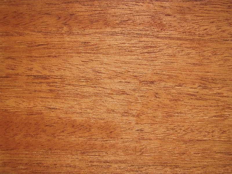 Honduras Mahogany photo 8