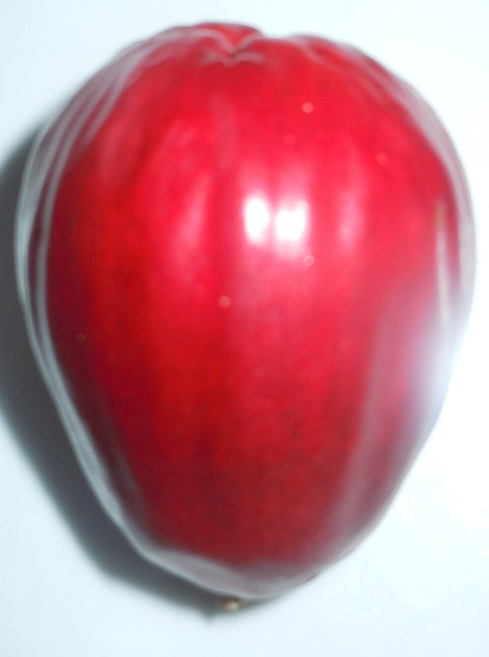 Malaysian Apple photo 6