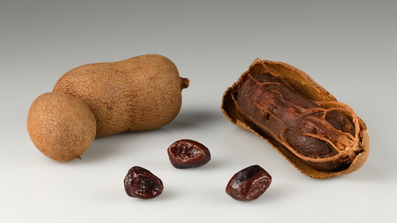 Tamarind photo 2