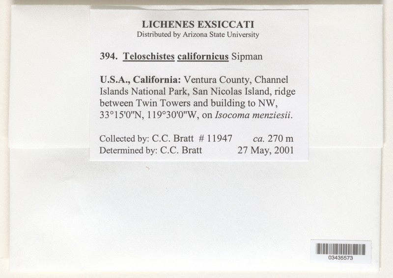 Teloschistes californicus