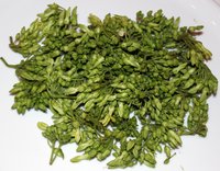 Telosma cordata