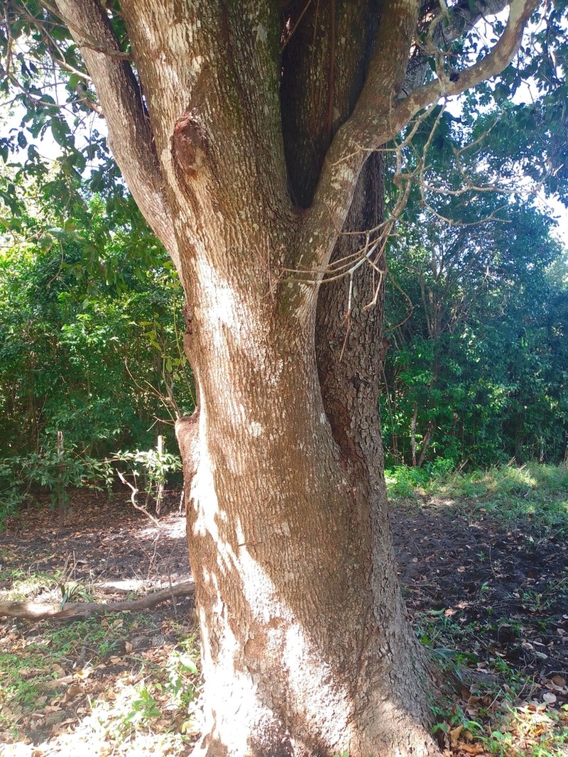 Gregorywood photo 2