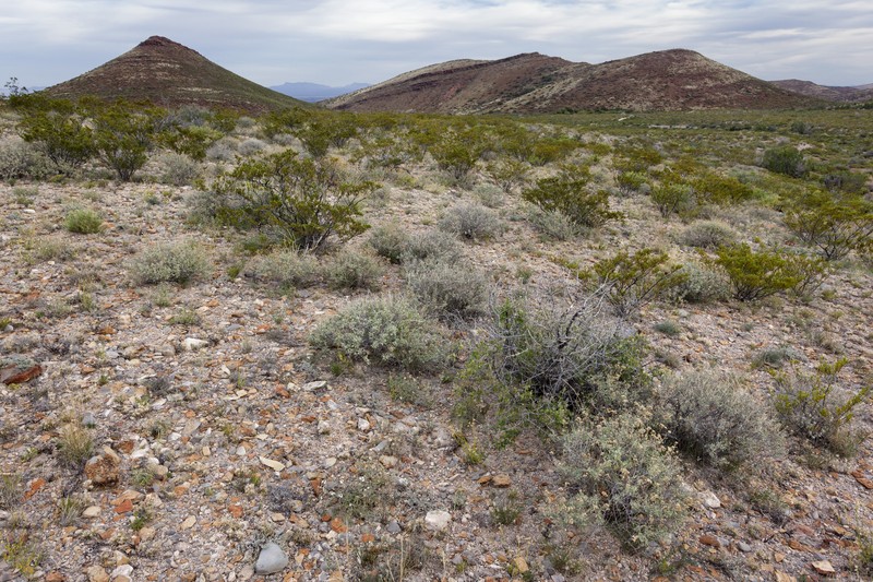 Rue Of The Mountains photo 4