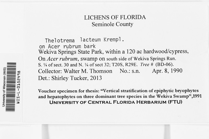 Barnacle Lichen