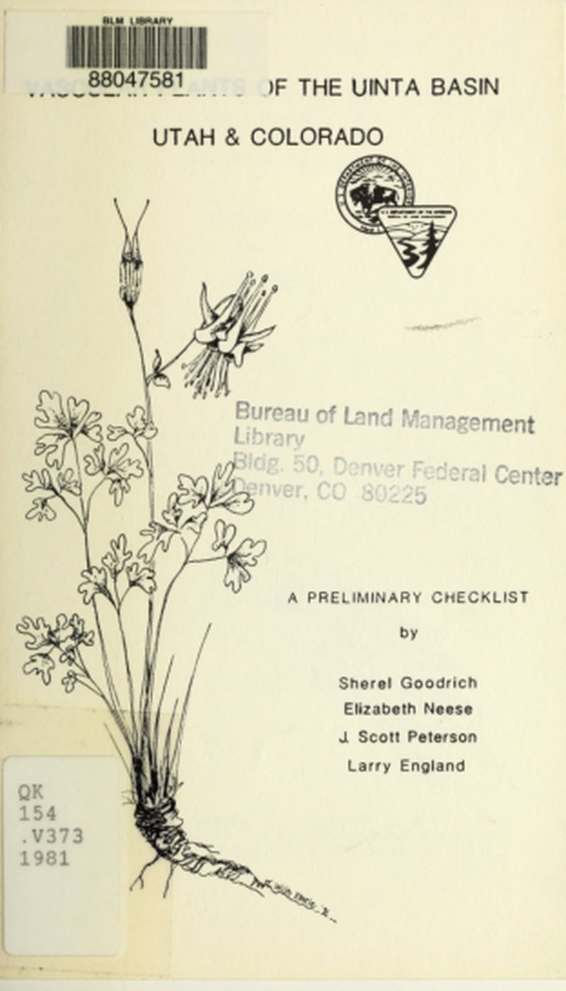 Long Valley Tumblemustard