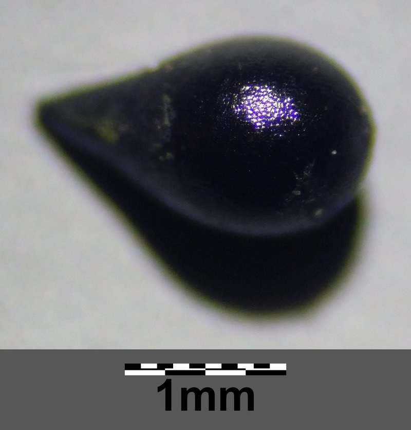 Mezereon photo 7