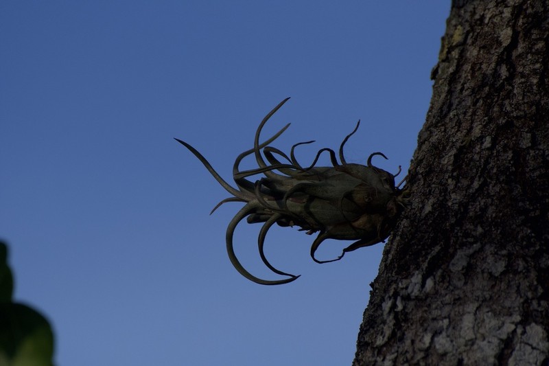 Potbelly Airplant photo 7