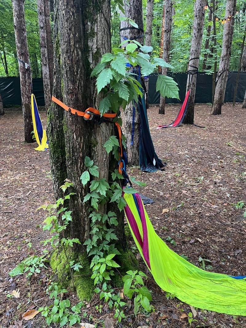 Eastern Poison Ivy photo 9