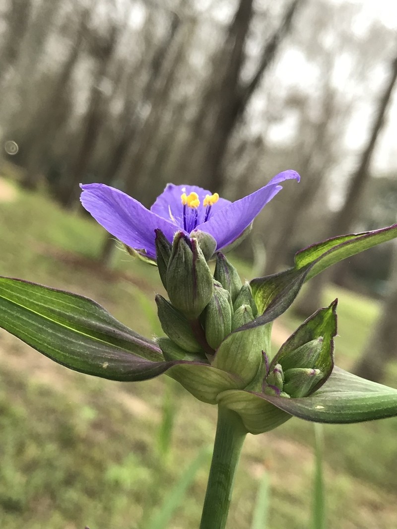 Bluejacket photo 7