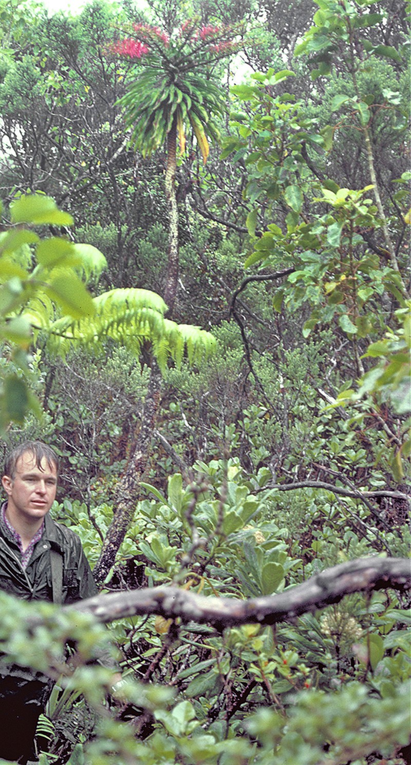 Koli'I photo 7