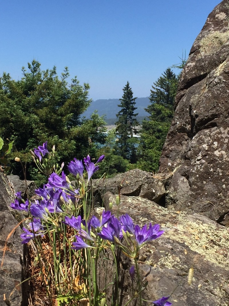 Ithuriel's Spear photo 5