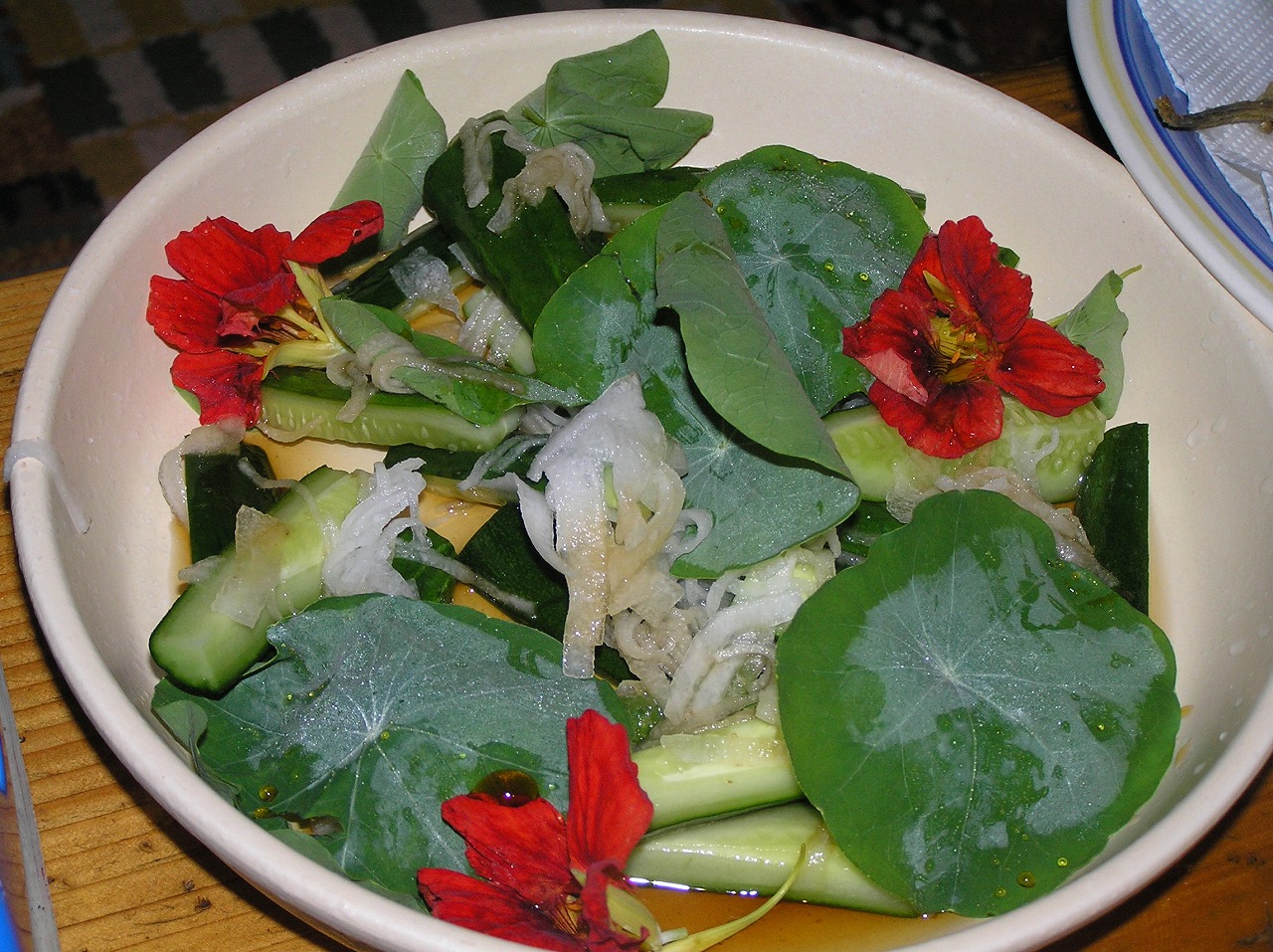 Nasturtium photo 5
