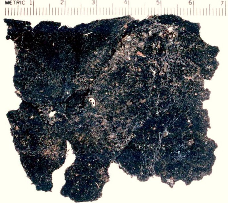 Navel Lichen photo 3