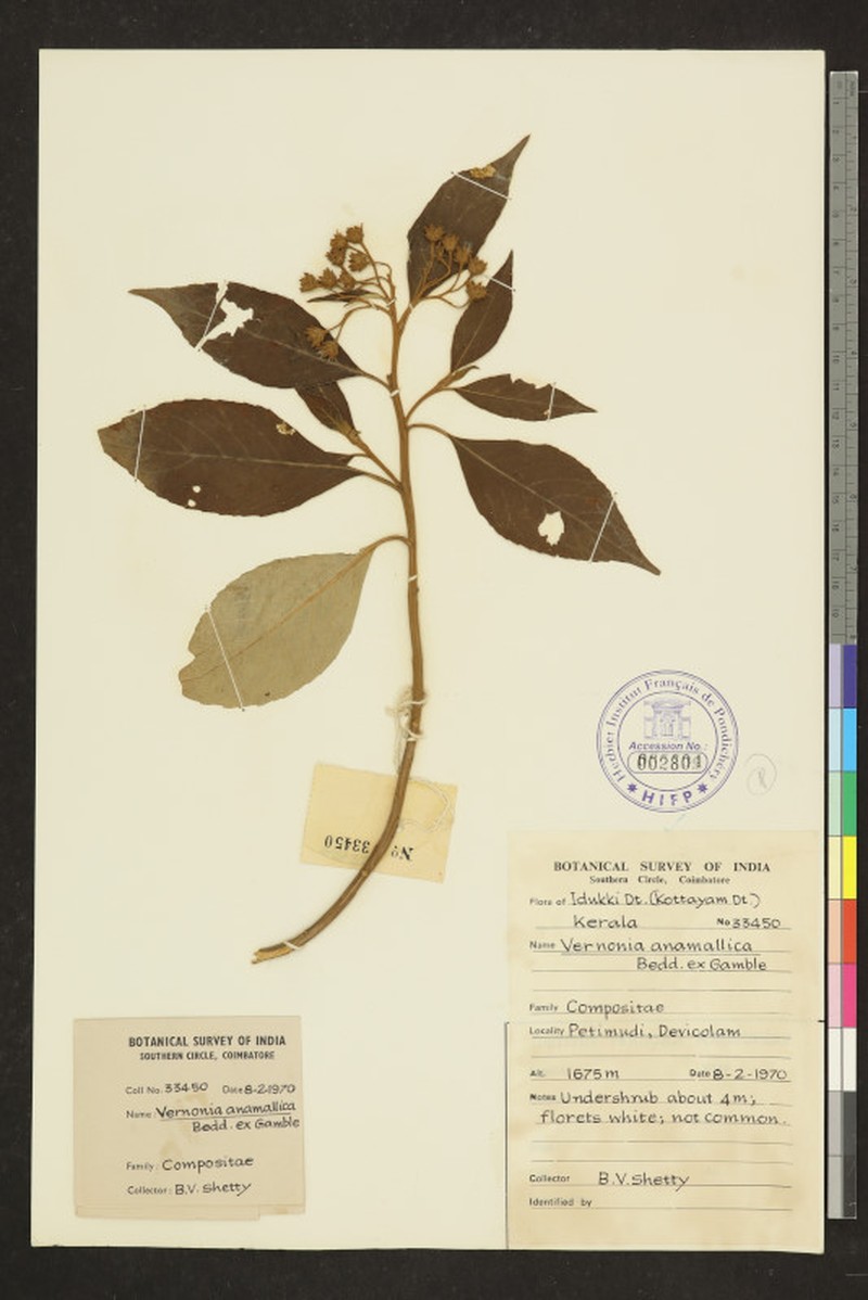 Uniyala anamallica