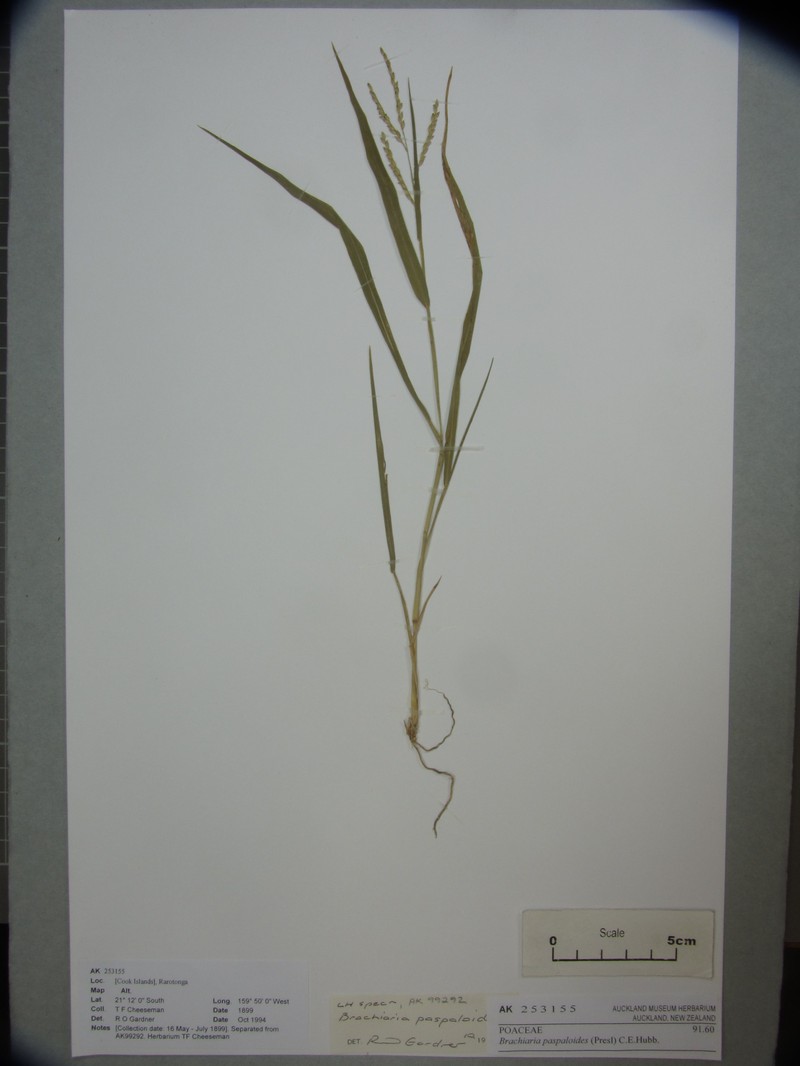 Thurston Grass photo 2
