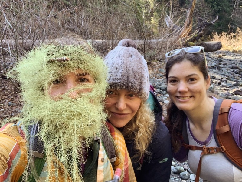 Beard Lichen photo 3