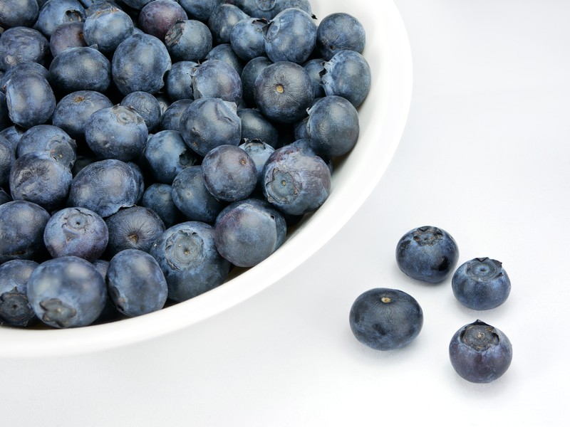 Blueberry photo 6