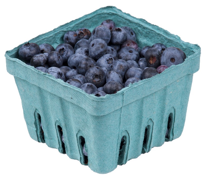 Blueberry photo 7