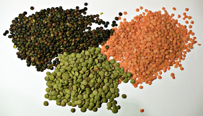Lentil