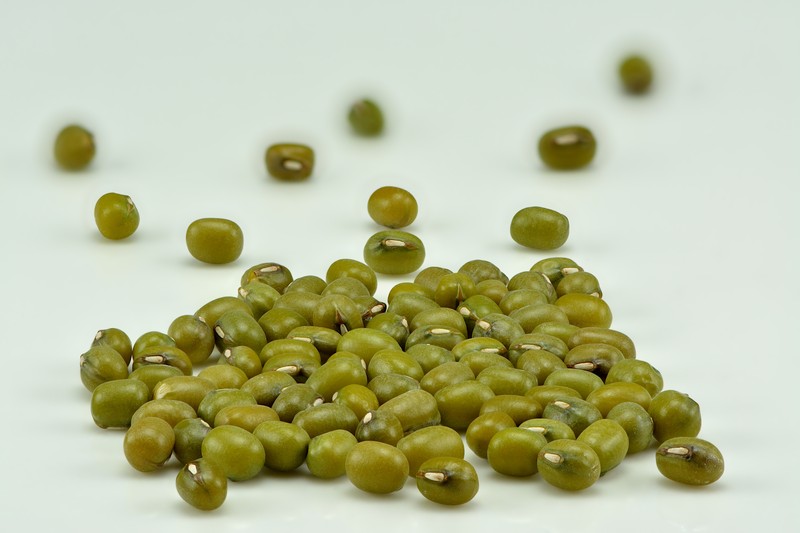 Mung Bean