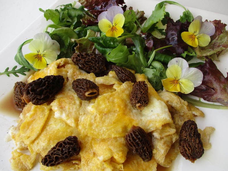 Salad Violet photo 2