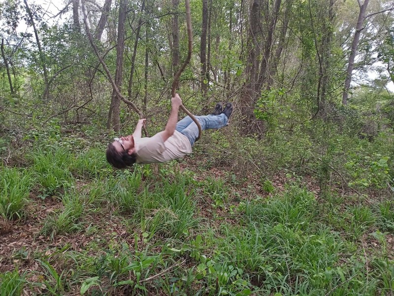 Muscadine photo 3