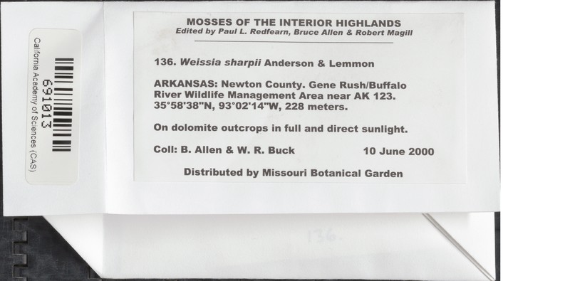 Sharp's Weissia Moss photo 5