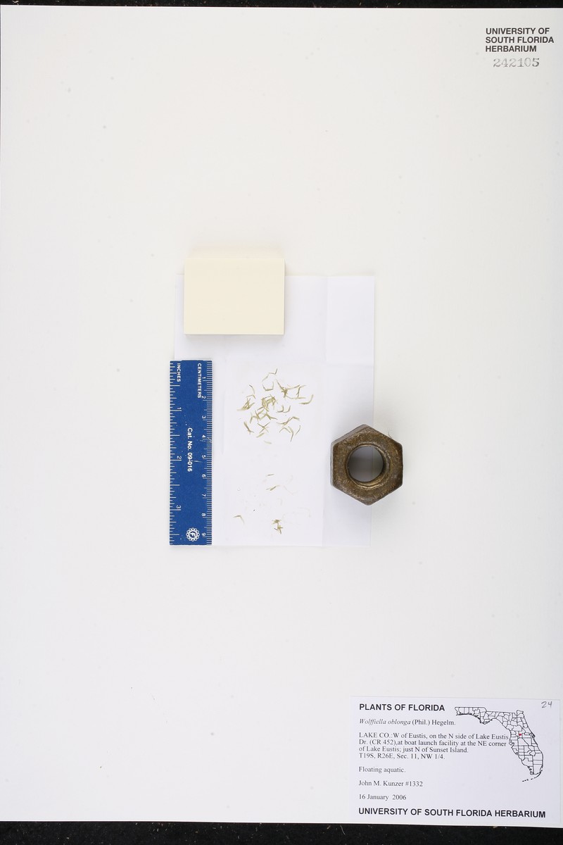 Saber Bogmat photo 4