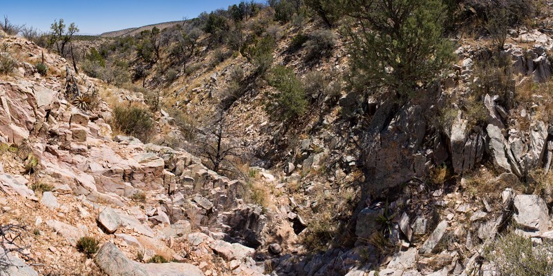 Cliff Fern photo 4