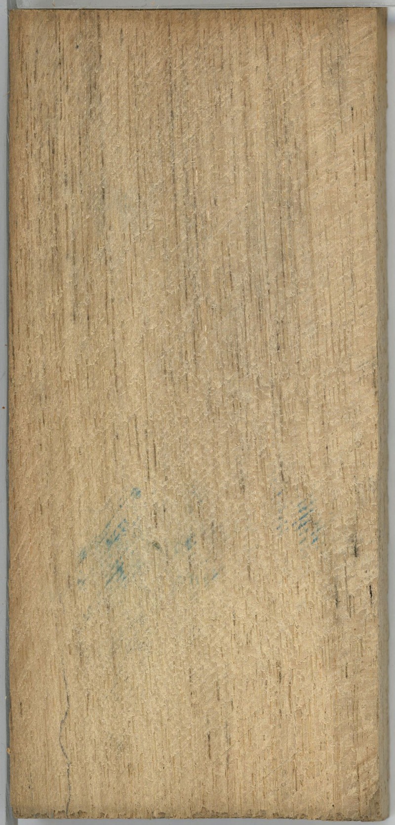Xylopia acutiflora