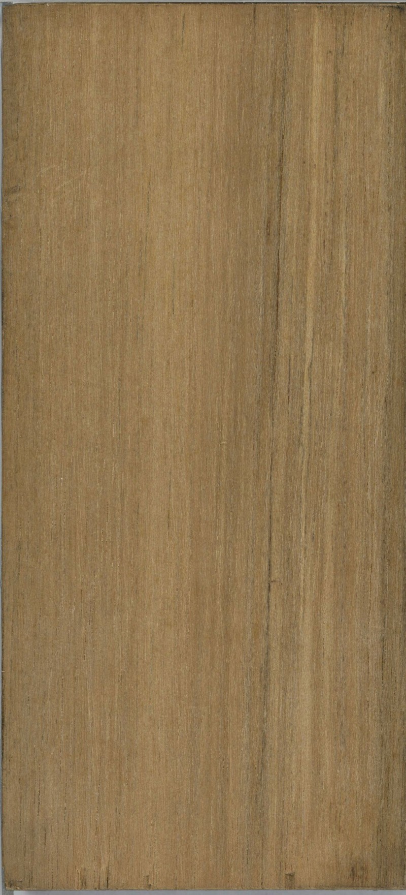 Xylopia danguyella