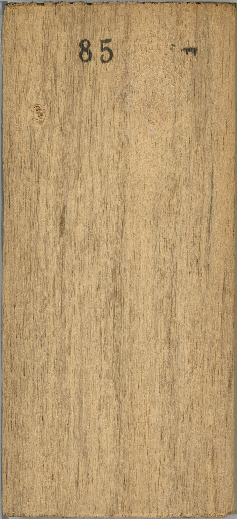 Xylopia rubescens