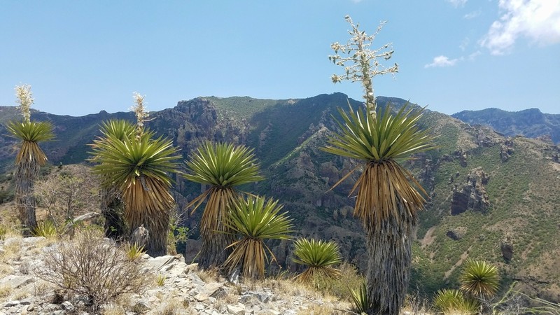 Eve's Needle photo 3