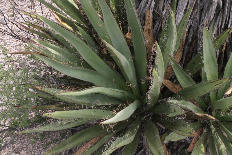 Eve's Needle photo 4