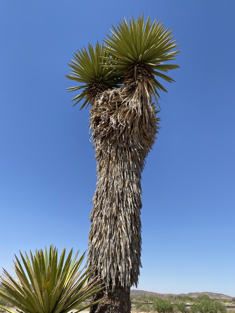 Eve's Needle photo 5