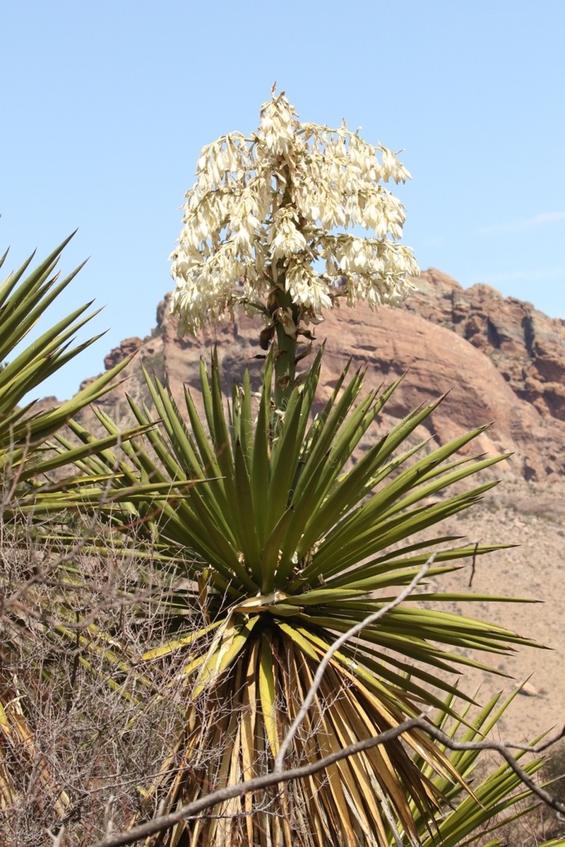 Eve's Needle photo 7