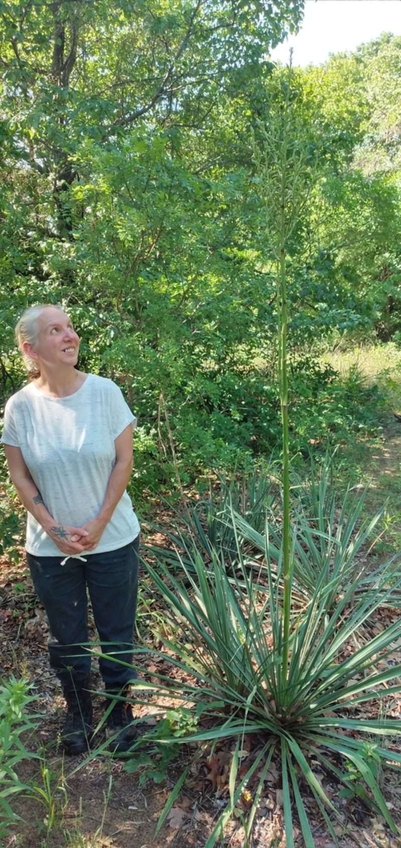 Brazos River Yucca photo 2