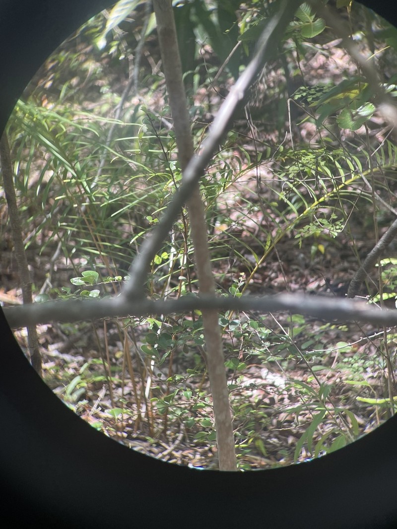 Marunguey photo 7
