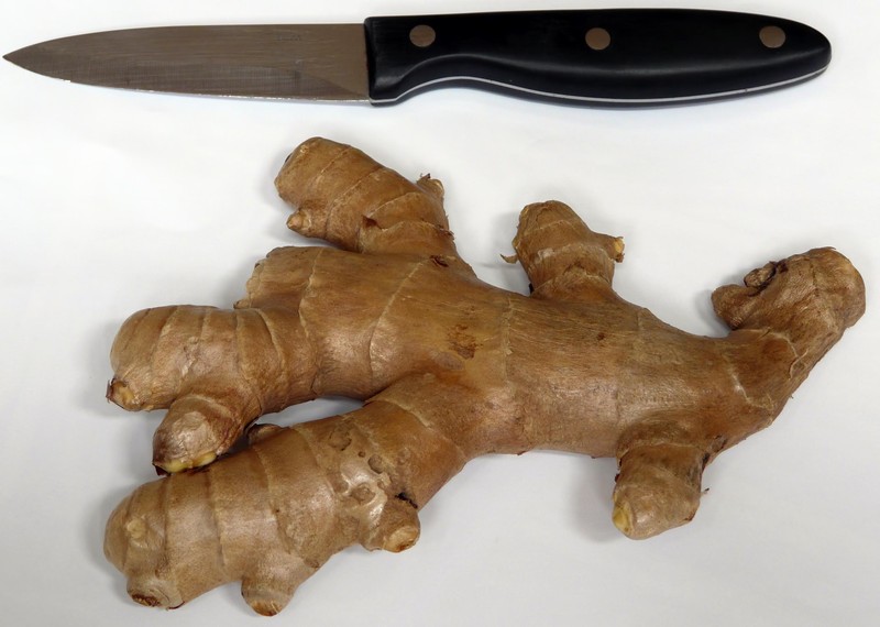 Garden Ginger photo 7