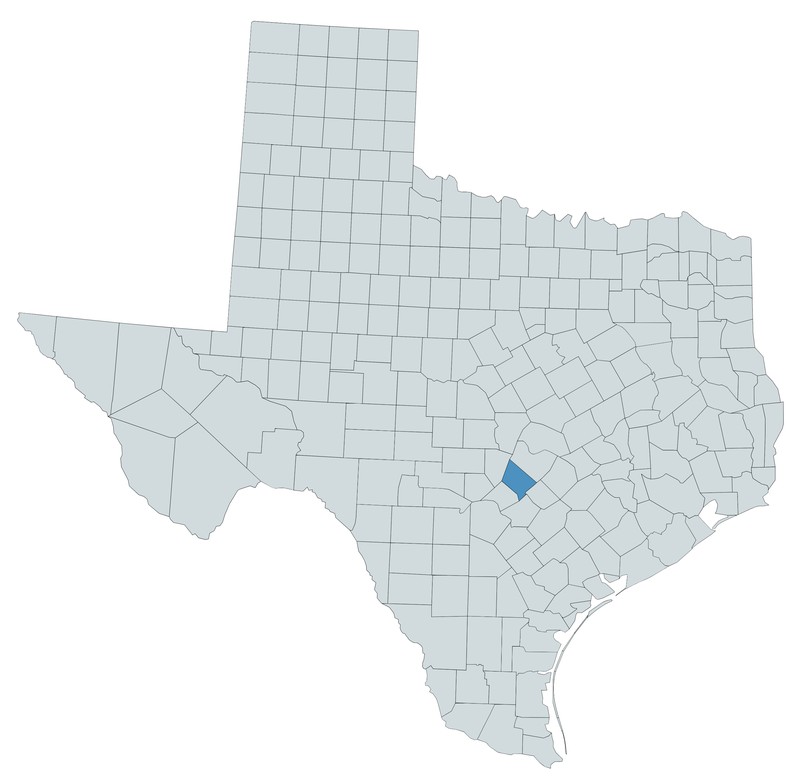 Texas Wildrice photo 3